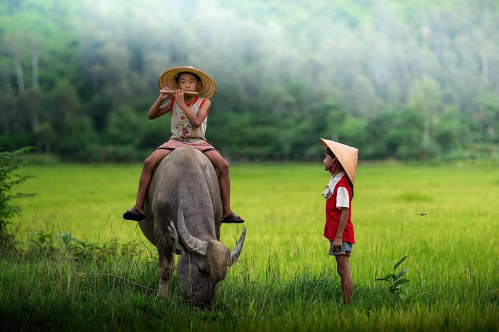 Xu hướng Người bán luôn bổ đôi quả dưa: Hotspot Matrix tiết lộ bí quyết video viral