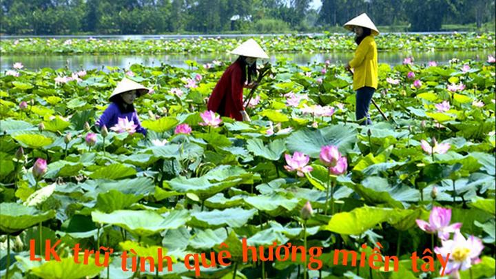 Khởi Nghiệp Video Ngắn: Lối Tắt Thành Công với Hotspot Matrix