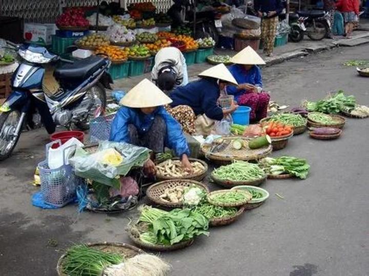 Bonobo: Nguồn Gốc Tiến Hóa Của Ngôn Ngữ Con Người?
