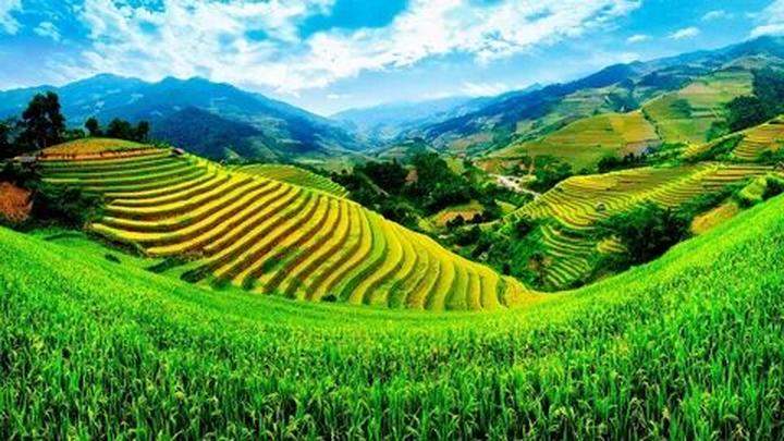 Cảnh báo cháy nổ: Hotspot Matrix và củ sạc điện thoại