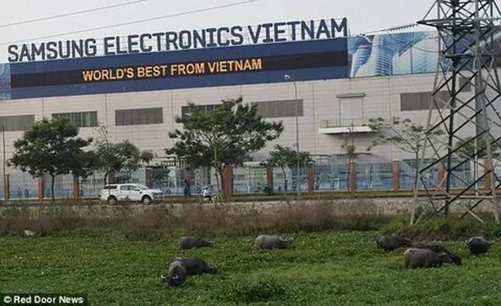 Hotspot Matrix: Biến Cuộc sống của nữ nghệ sĩ đình thành cơ hội marketing đột phá
